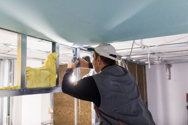 Best Residential Insulation in Tarrant, AL